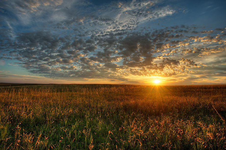 Tallgrass Prairie | Sean Crane Photography